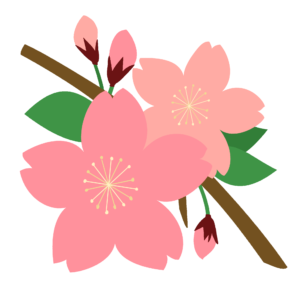 桜の花のイラスト