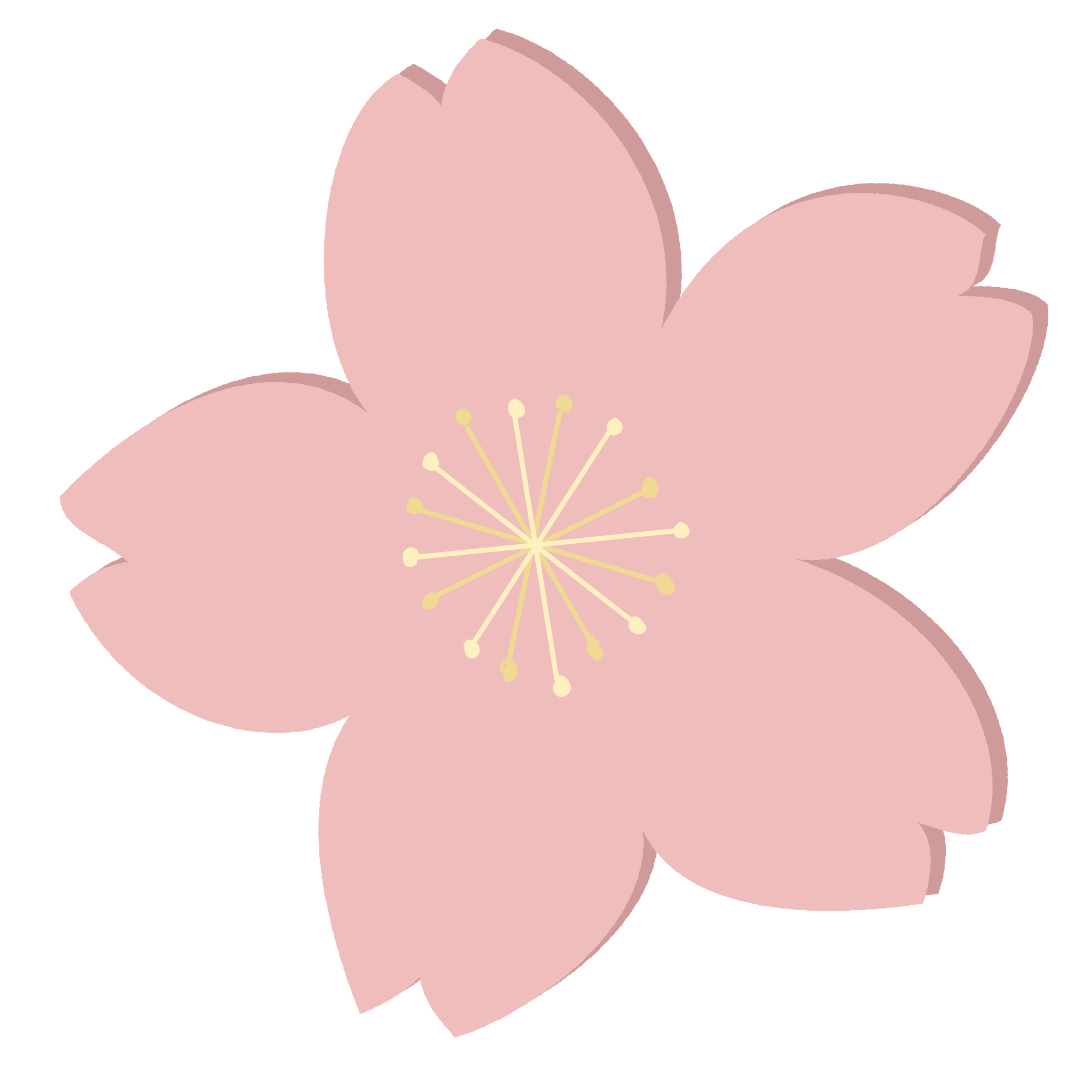 桜の花のイラスト