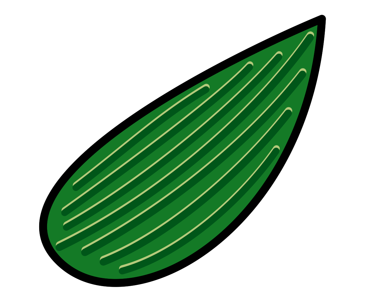 笹の葉のイラスト｜七夕・和食・和風のシンプル素材