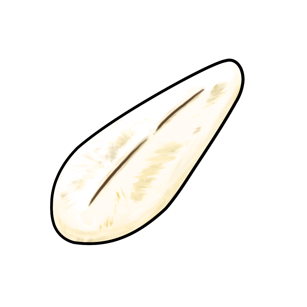 笹かまぼこのイラスト｜仙台名物・宮城グルメ素材